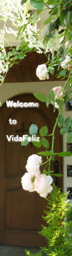 VidaFeliz�ւ悤�����I